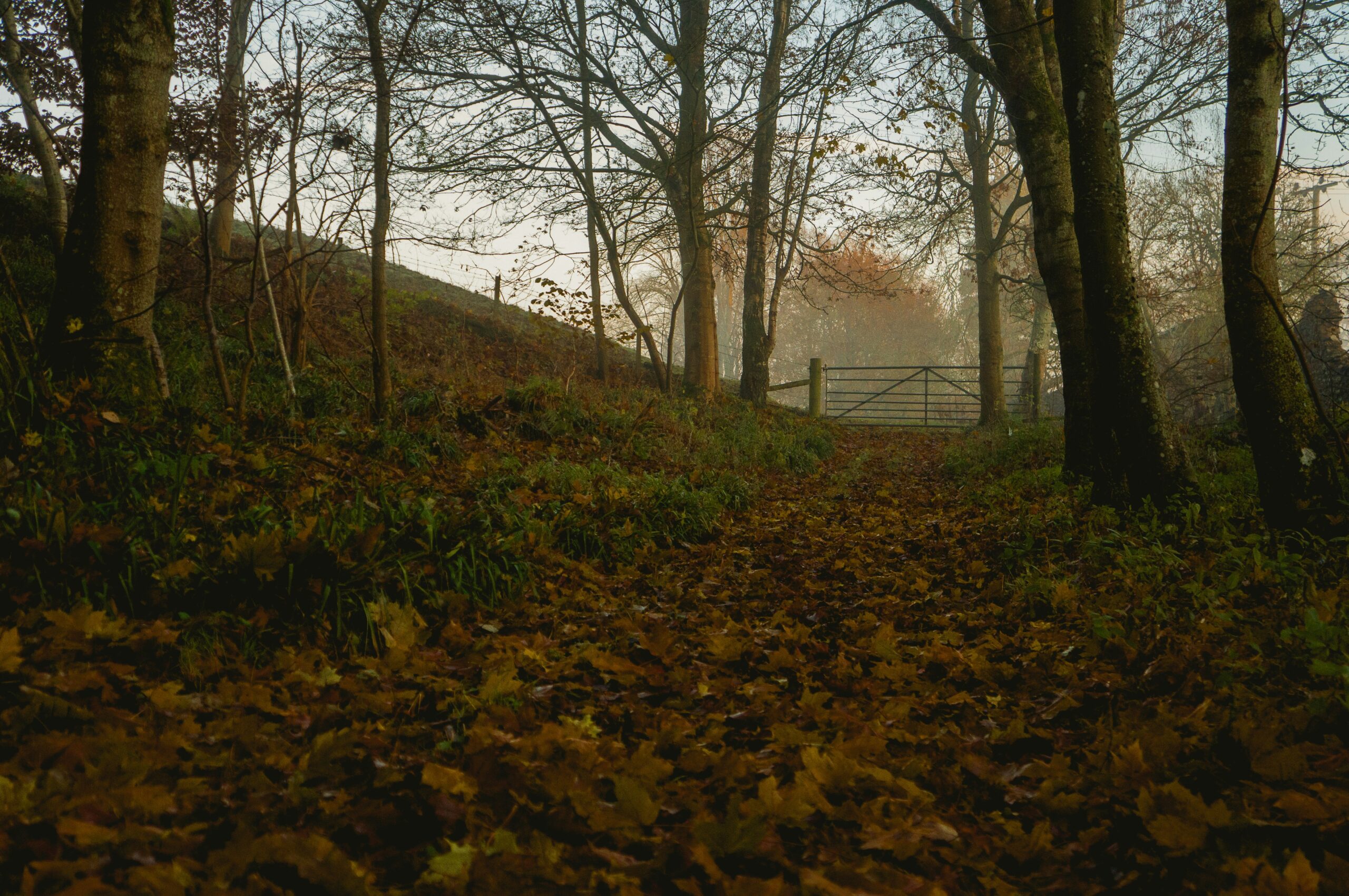 imposta di successione, heritage wealth